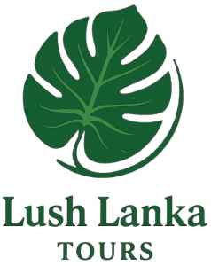 logo-e1769397105858-removebg-preview