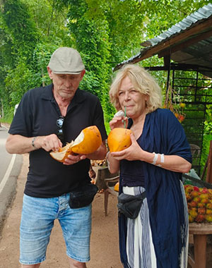 4 NIGHTS 5 DAYS – Dambulla – Kandy – Bentota - Colombo