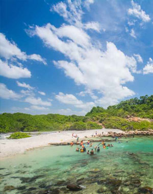 Coastal Paradise & Wildlife Adventure (5 Days / 4 Nights)